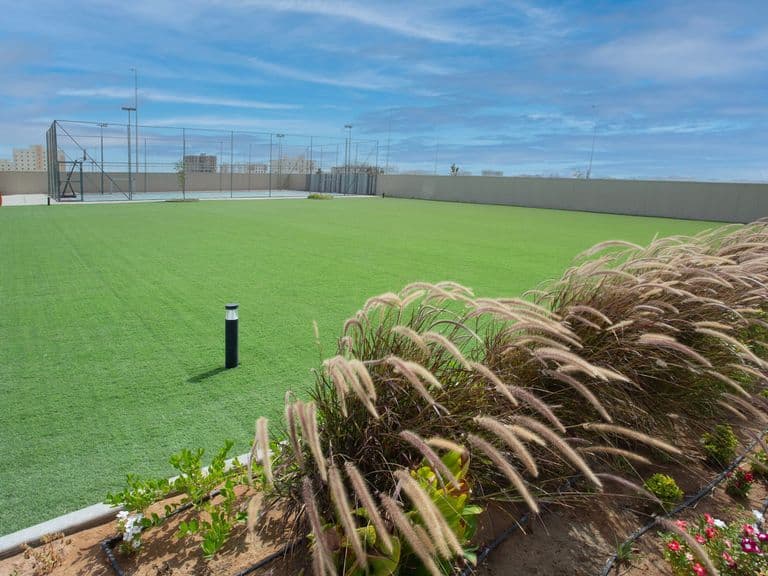 Ornamental grasses and flowers beside the recreation yard