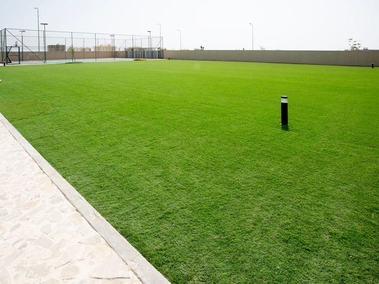 The recreation yard